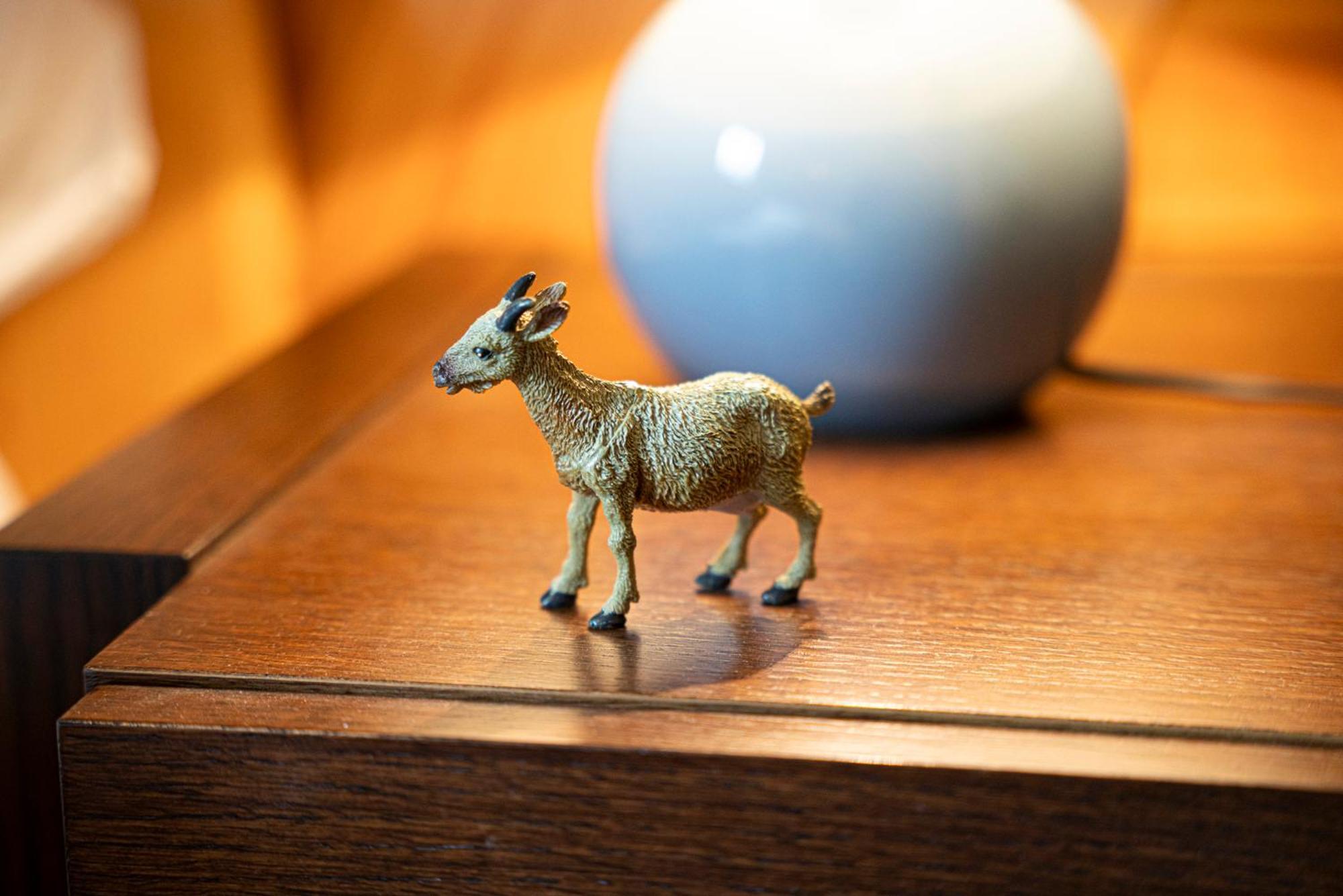 לינה וארוחת בוקר גראצ'ן Alte Bock 2.0 מראה חיצוני תמונה